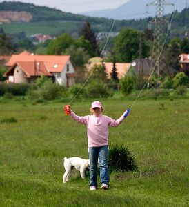 Kites & Things photo